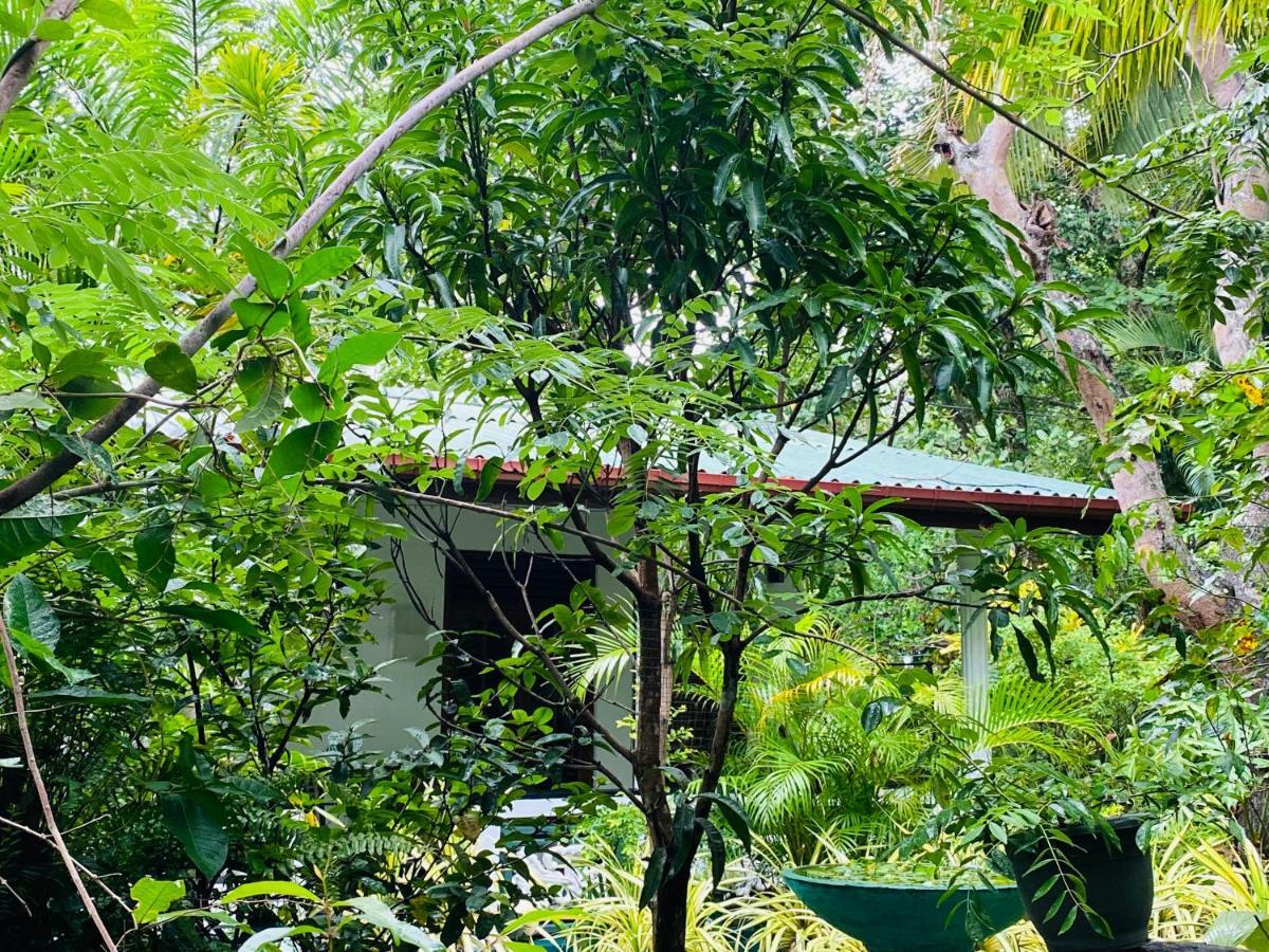 The Jungle Path Lodge Sigiriya Esterno foto